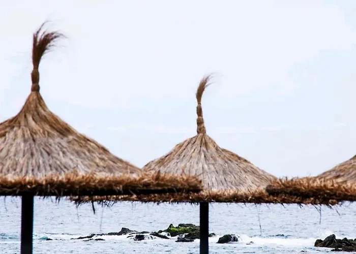 Precioso Duplex Con Vistas Al Oceano